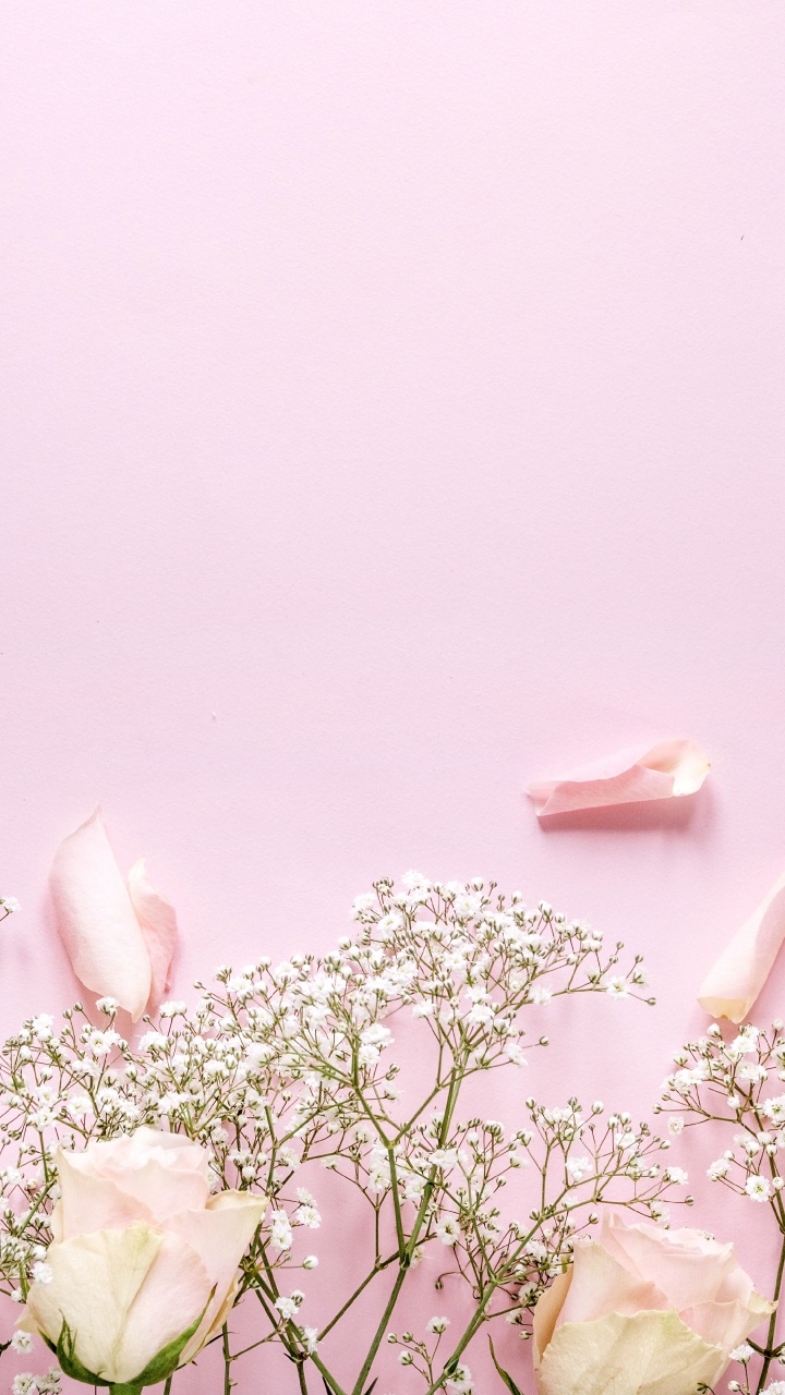 Flores Blancas y Rosadas Con Hojas Verdes. Wallpaper in 720x1280 Resolution