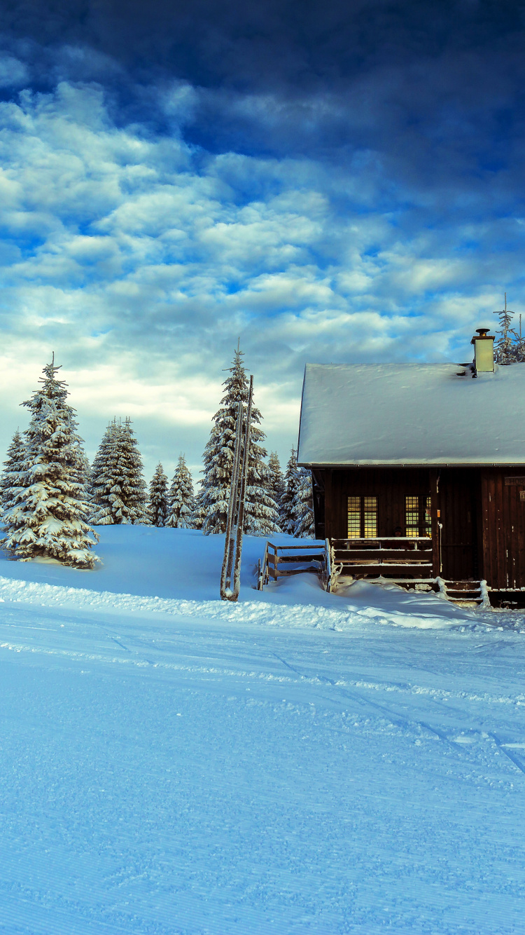 Casa de Madera Marrón Sobre Suelo Cubierto de Nieve Durante el Día. Wallpaper in 750x1334 Resolution