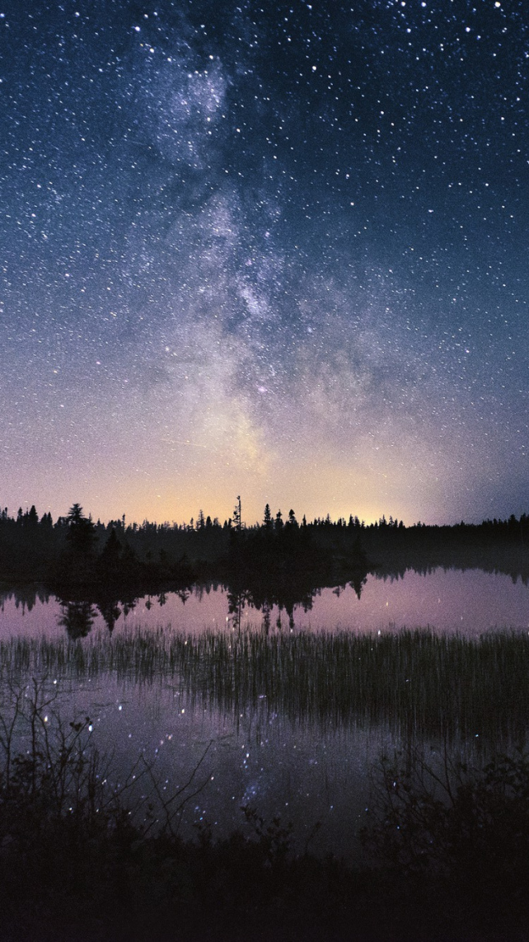 Body of Water Near Trees Under Starry Night. Wallpaper in 750x1334 Resolution