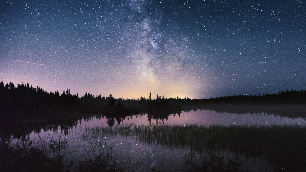 Gewässer in Der Nähe Von Bäumen Unter Sternenklarer Nacht. Wallpaper in 1280x720 Resolution