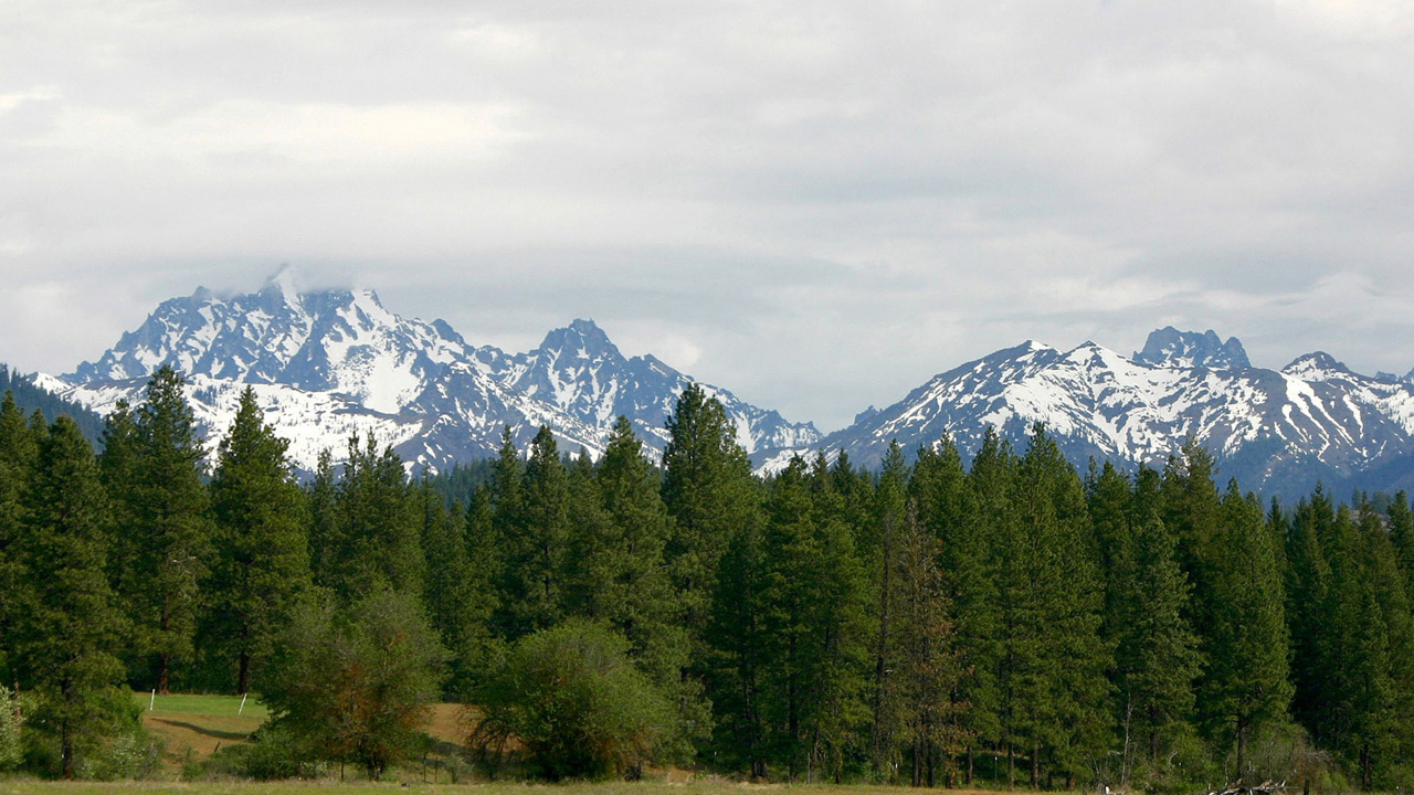 Green Pine Trees Near Snow Covered Mountain During Daytime. Wallpaper in 1280x720 Resolution