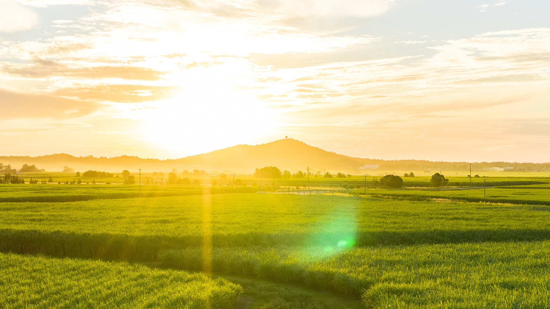 Paysage Naturel, Nature, Champ, Green, Matin. Wallpaper in 1920x1080 Resolution