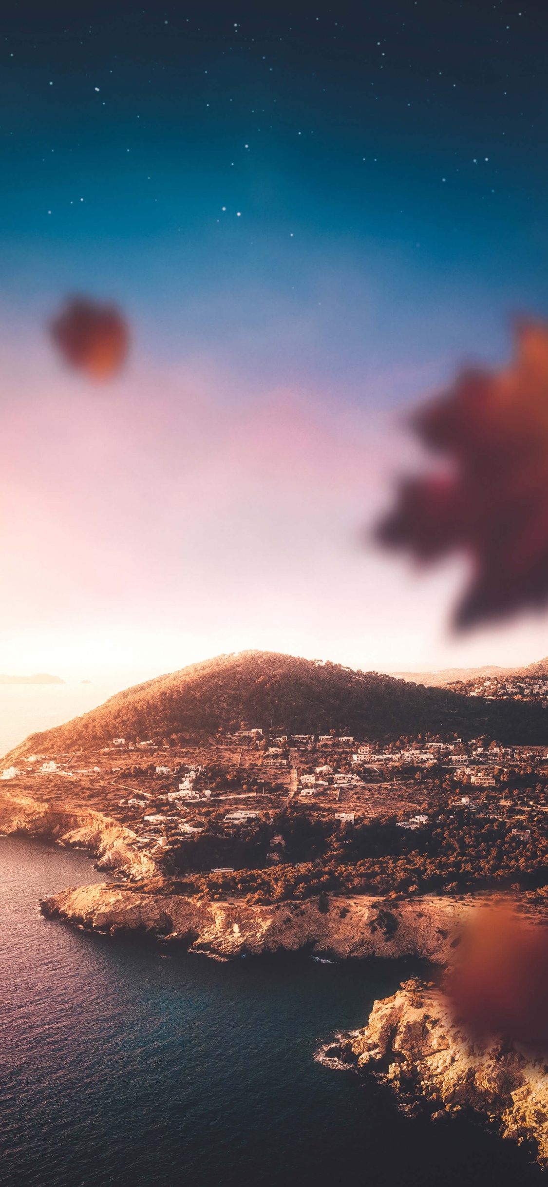 Eivissa, Formentera, Canción, Crucero, Ambiente. Wallpaper in 1125x2436 Resolution