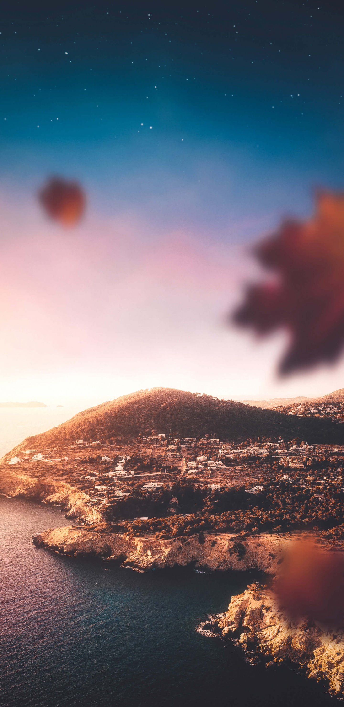 Ibiza, Palm Tree, Formentera, Mahn, Cruise Ship. Wallpaper in 1440x2960 Resolution