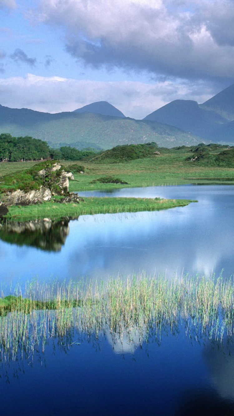 Grüne Bäume in Der Nähe Von See Und Bergen Tagsüber. Wallpaper in 750x1334 Resolution