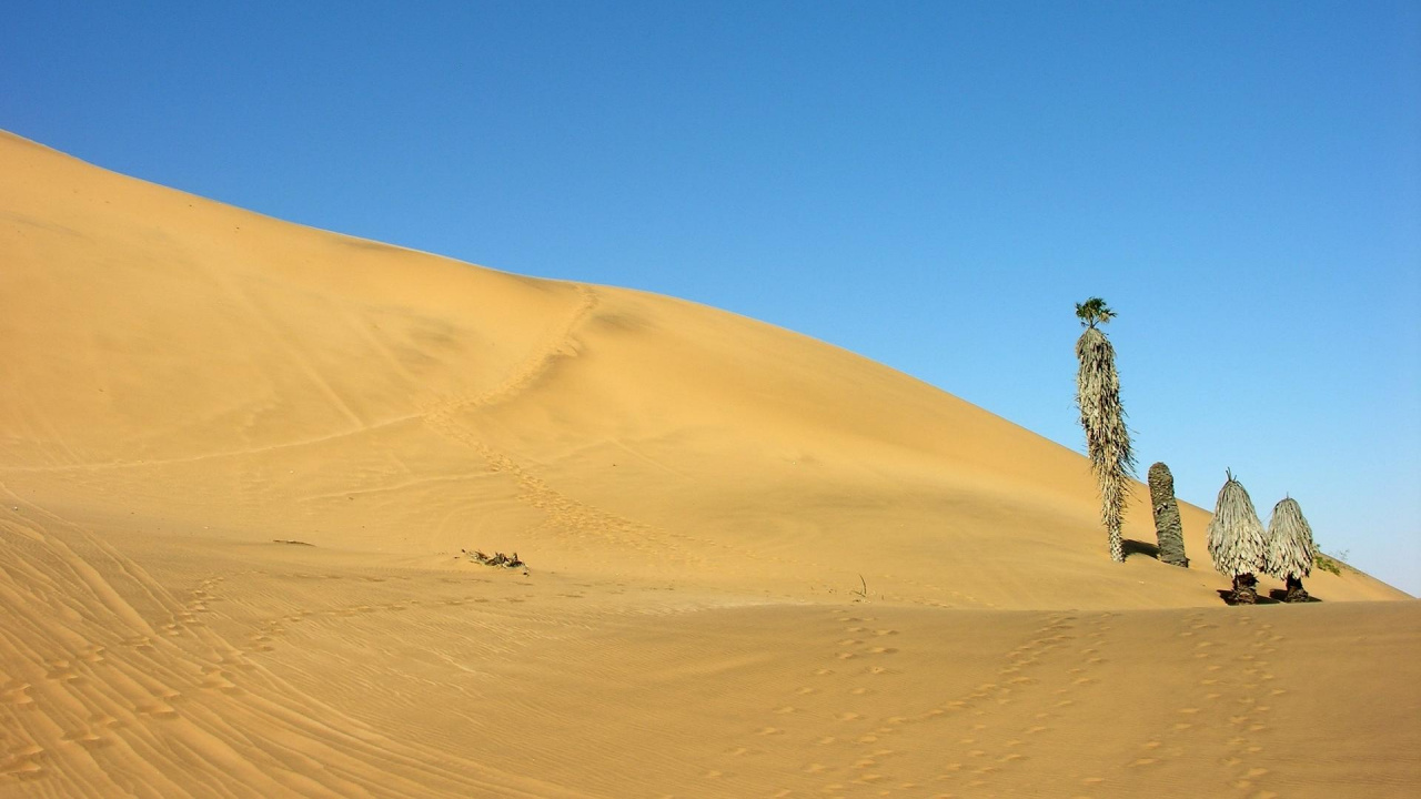 Brown Sand Under Blue Sky During Daytime. Wallpaper in 1280x720 Resolution