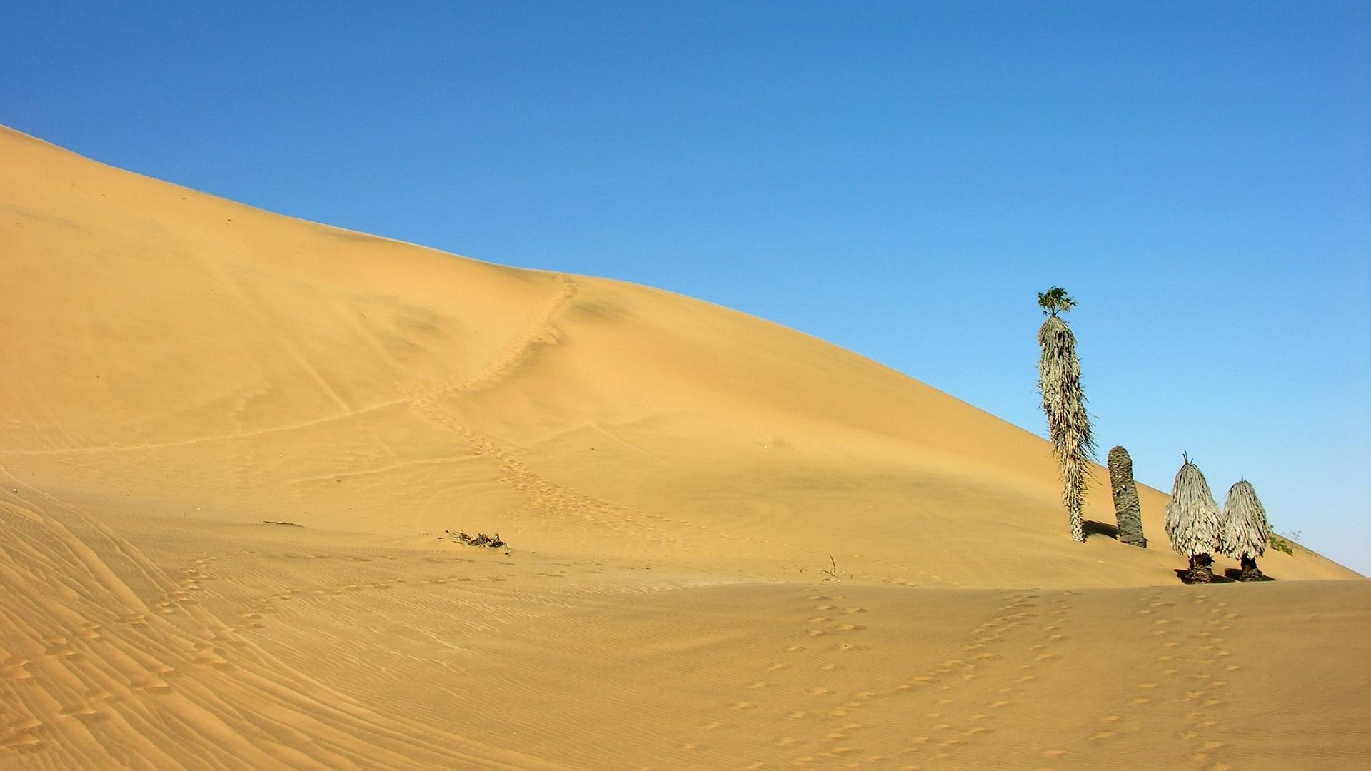 Brown Sand Under Blue Sky During Daytime. Wallpaper in 1920x1080 Resolution