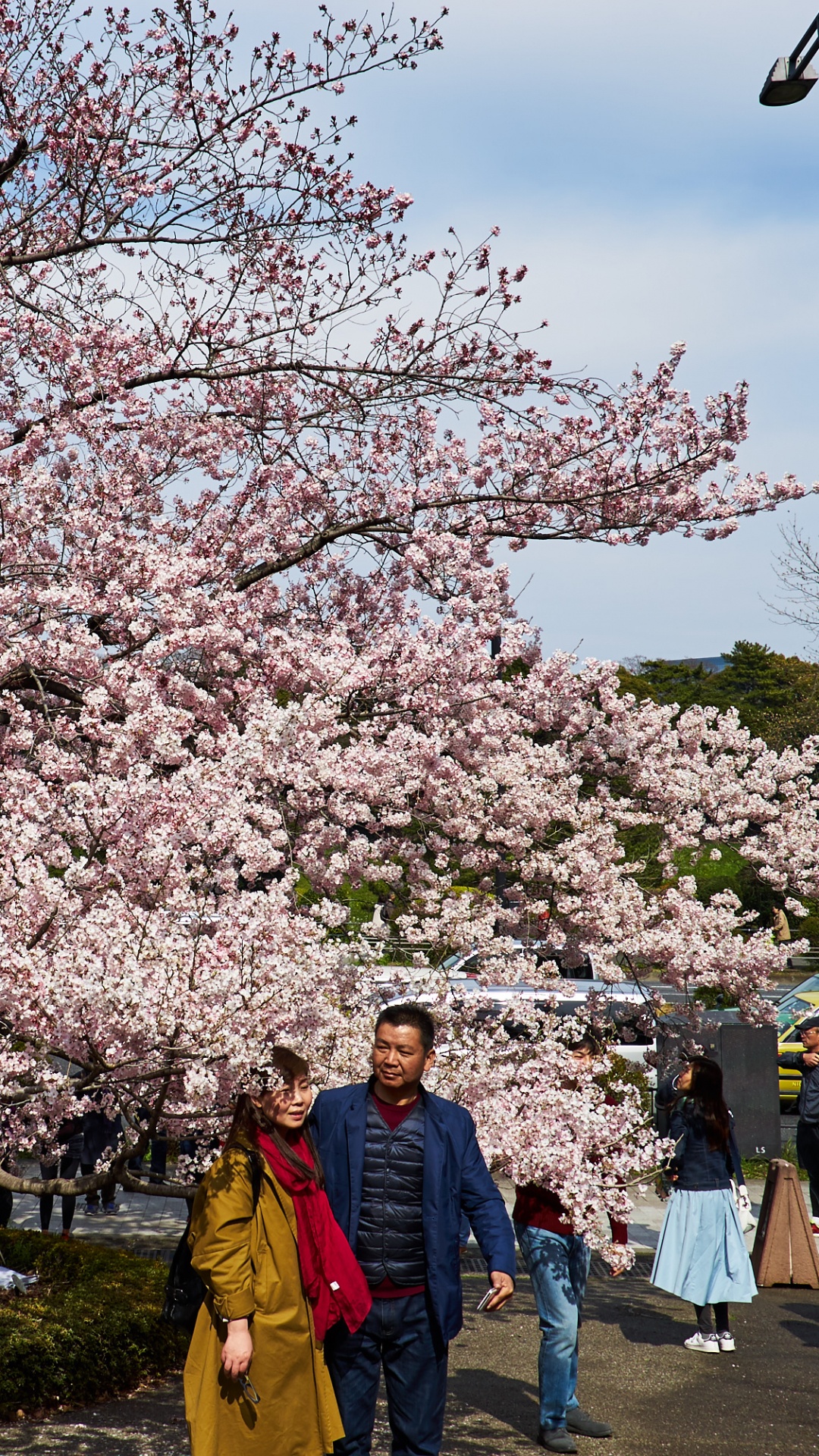 People Walking on Park During Daytime. Wallpaper in 1080x1920 Resolution