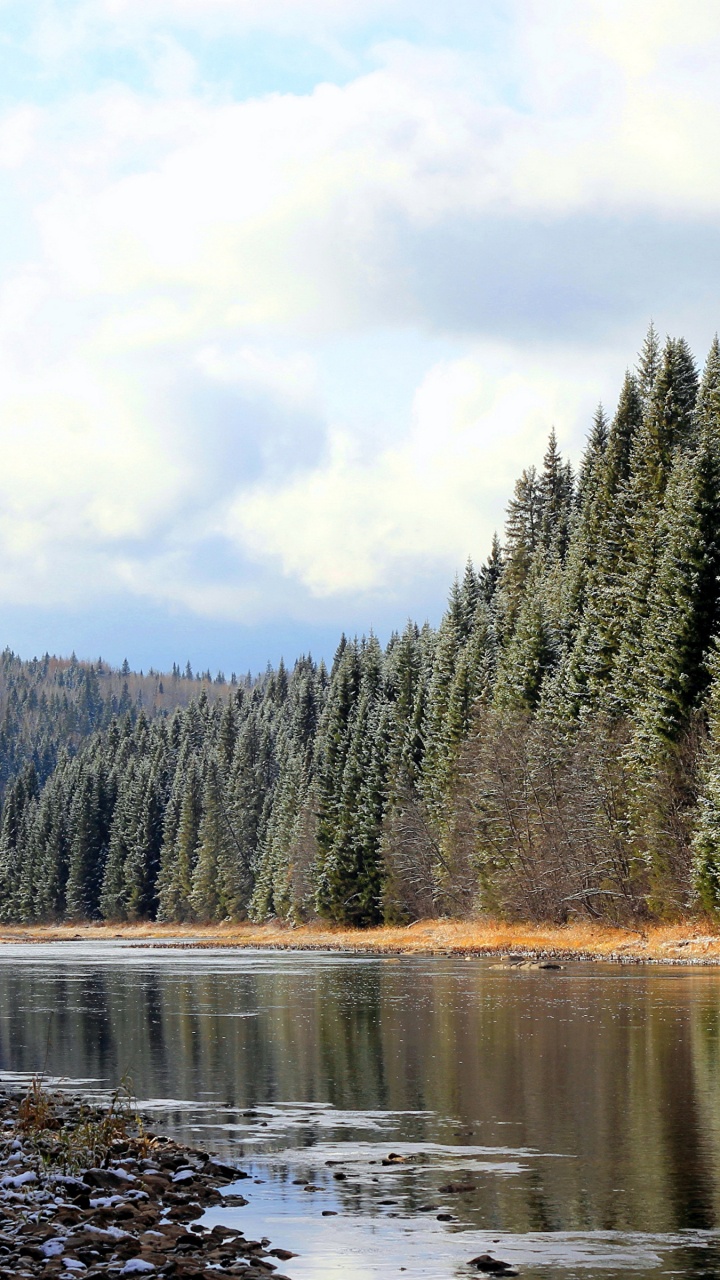 Green Trees Beside River Under White Clouds During Daytime. Wallpaper in 720x1280 Resolution