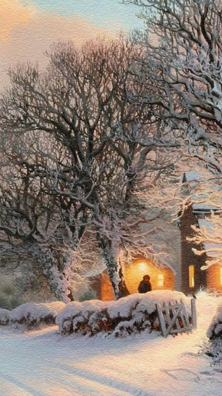 Menschen, Die Tagsüber Auf Schneebedeckten Feldern Mit Kahlen Bäumen Gehen. Wallpaper in 720x1280 Resolution