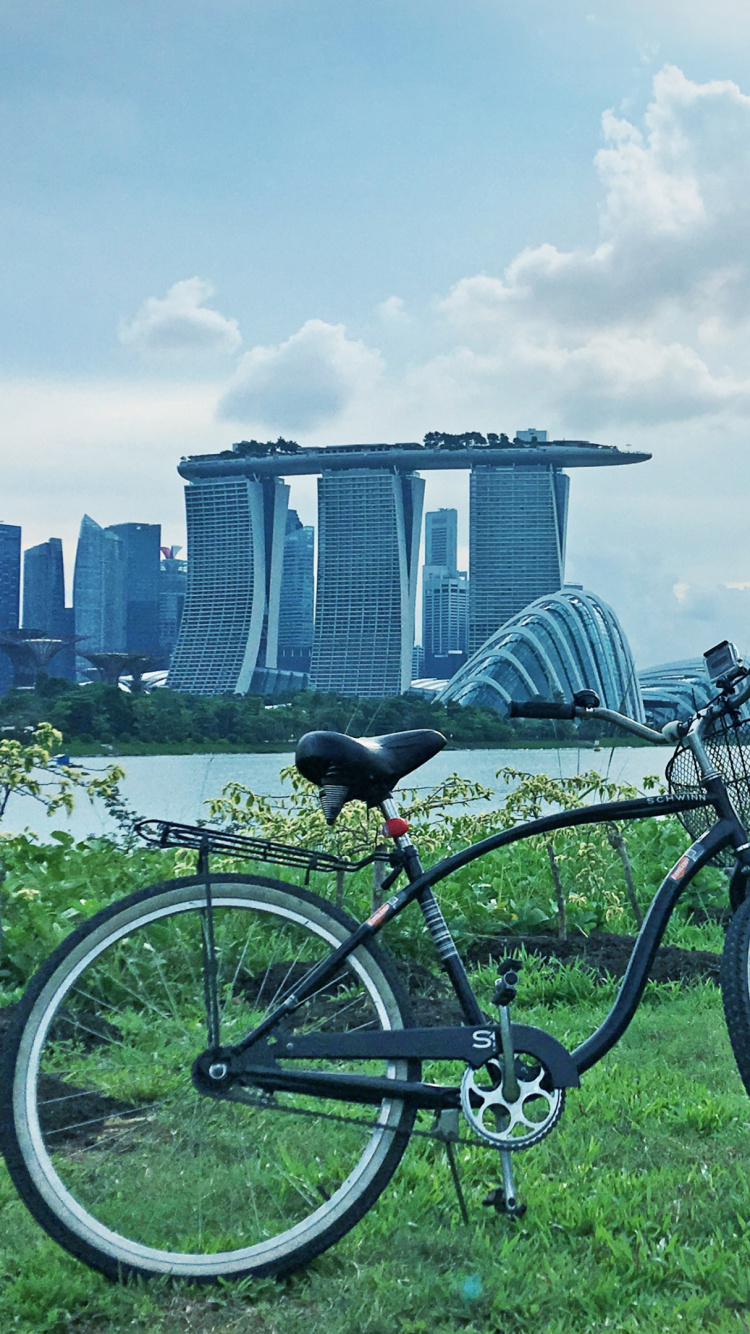 Black and White Bicycle on Green Grass Field Near Body of Water During Daytime. Wallpaper in 750x1334 Resolution