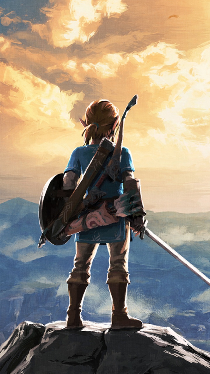 The Legend of Zelda, Nintendo Switch, Legend of Zelda, The Legend of Zelda Ocarina of Time, Wii u. Wallpaper in 720x1280 Resolution
