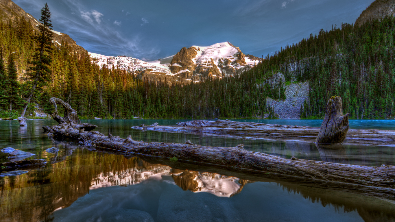 Green Pine Trees Near Lake and Snow Covered Mountain During Daytime. Wallpaper in 1366x768 Resolution
