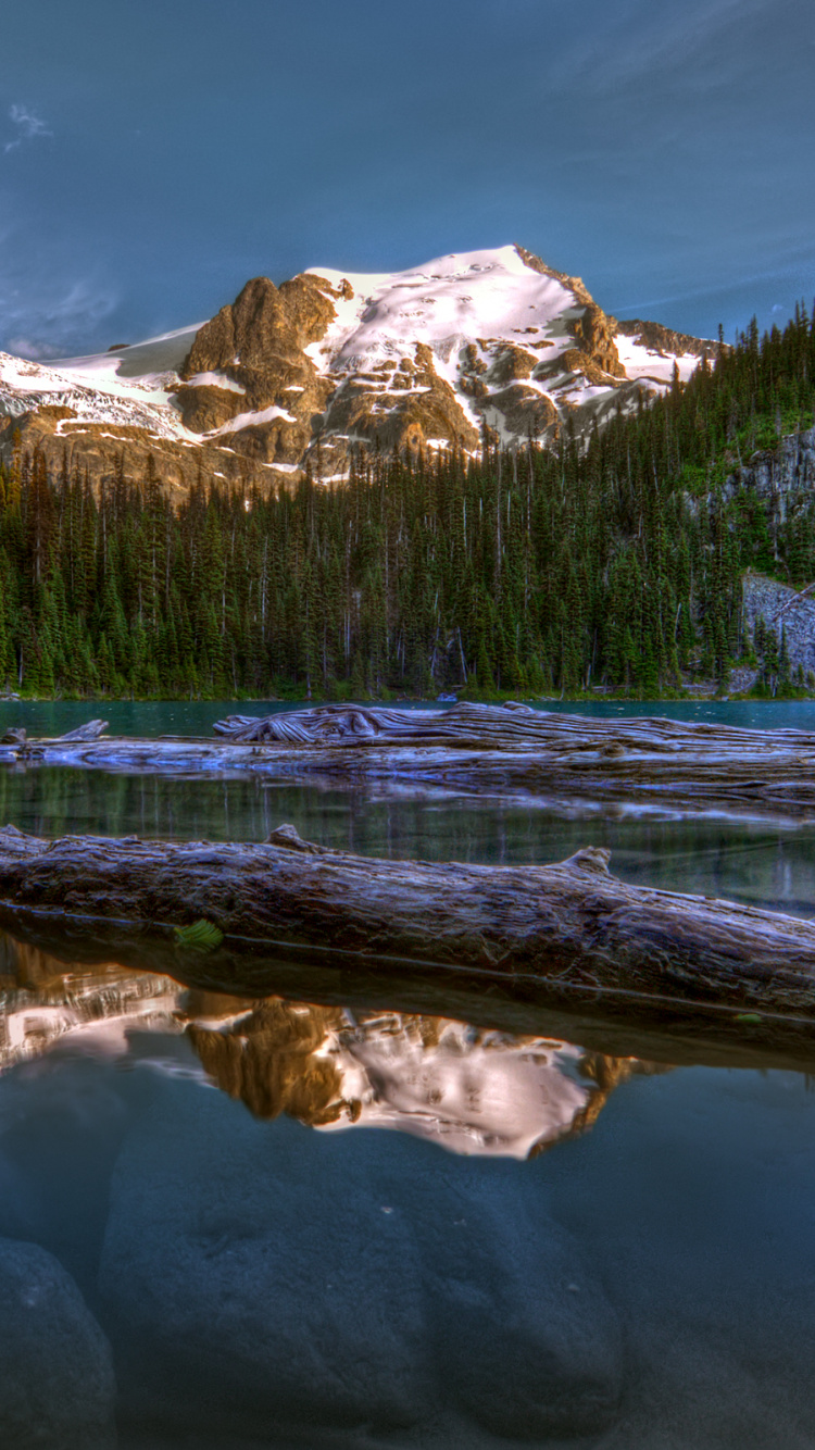 Green Pine Trees Near Lake and Snow Covered Mountain During Daytime. Wallpaper in 750x1334 Resolution