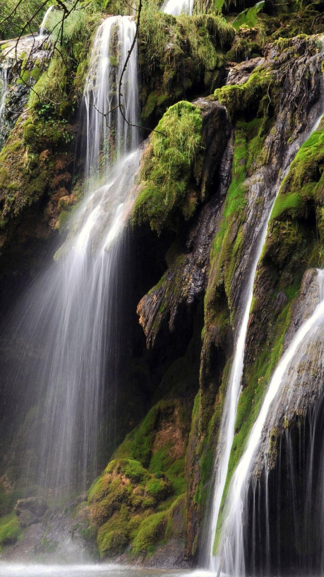 Water Falls in The Middle of Green Moss Covered Rocks. Wallpaper in 1080x1920 Resolution