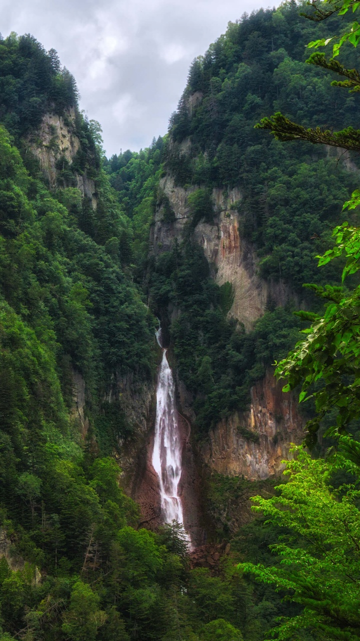 Waterfalls in The Middle of The Forest. Wallpaper in 720x1280 Resolution