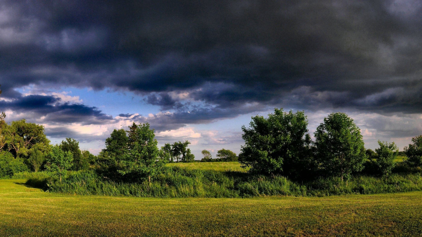Green Grass Field and Green Trees Under Gray Clouds. Wallpaper in 1366x768 Resolution