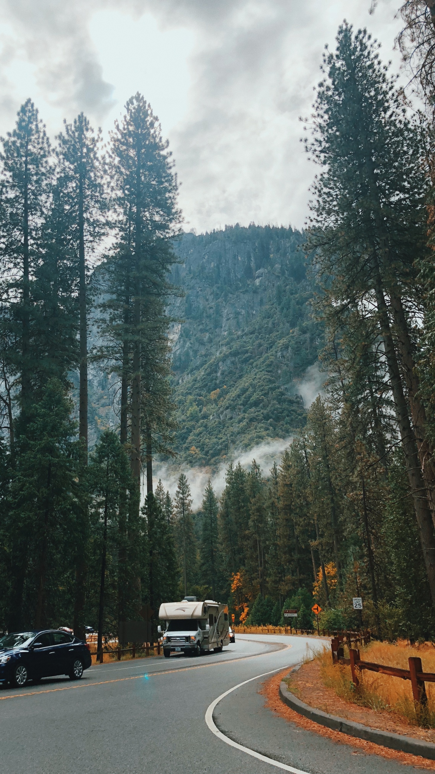California, Usa, Yosemite Valley, Nature, Conifers. Wallpaper in 1440x2560 Resolution