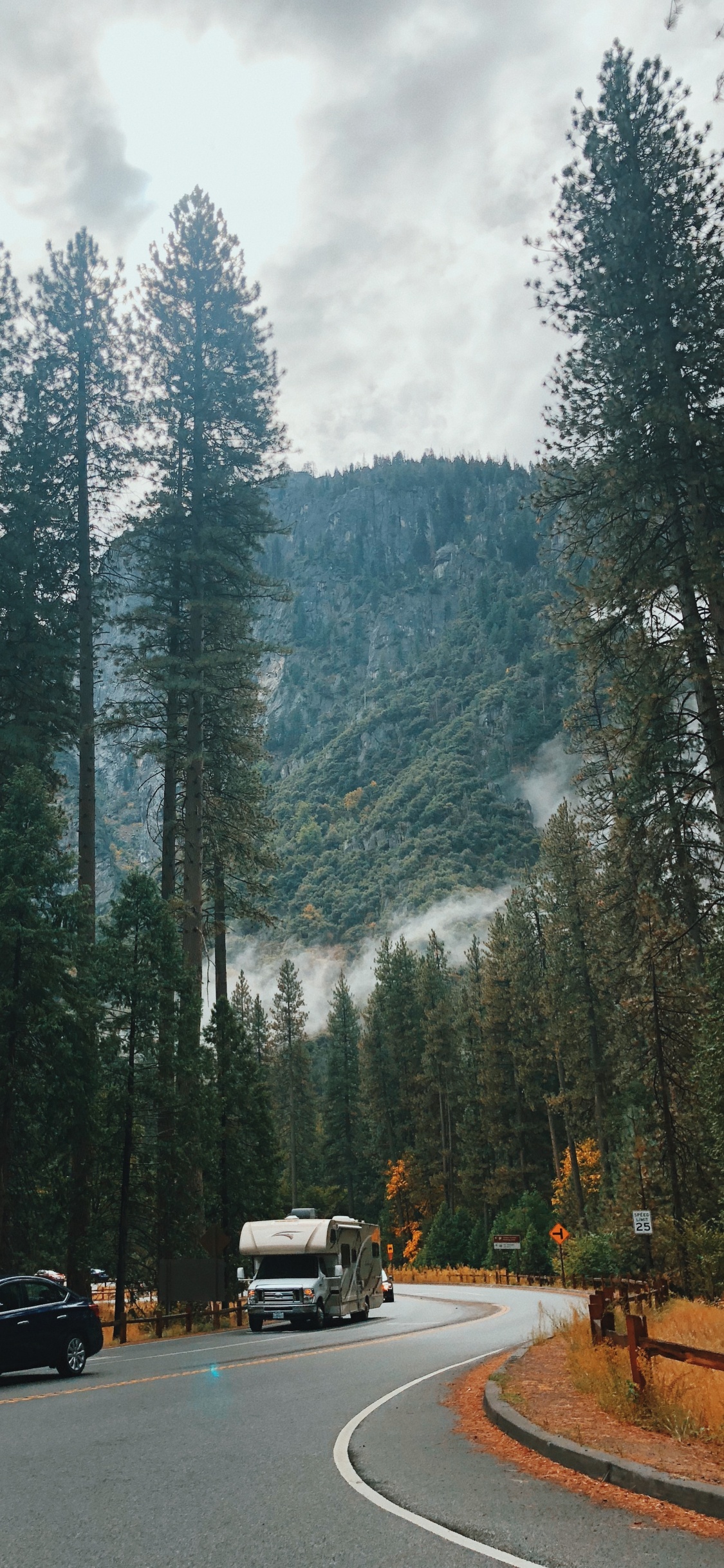 California, el Valle de Yosemite, Naturaleza, Las Coníferas, Neumatico. Wallpaper in 1125x2436 Resolution