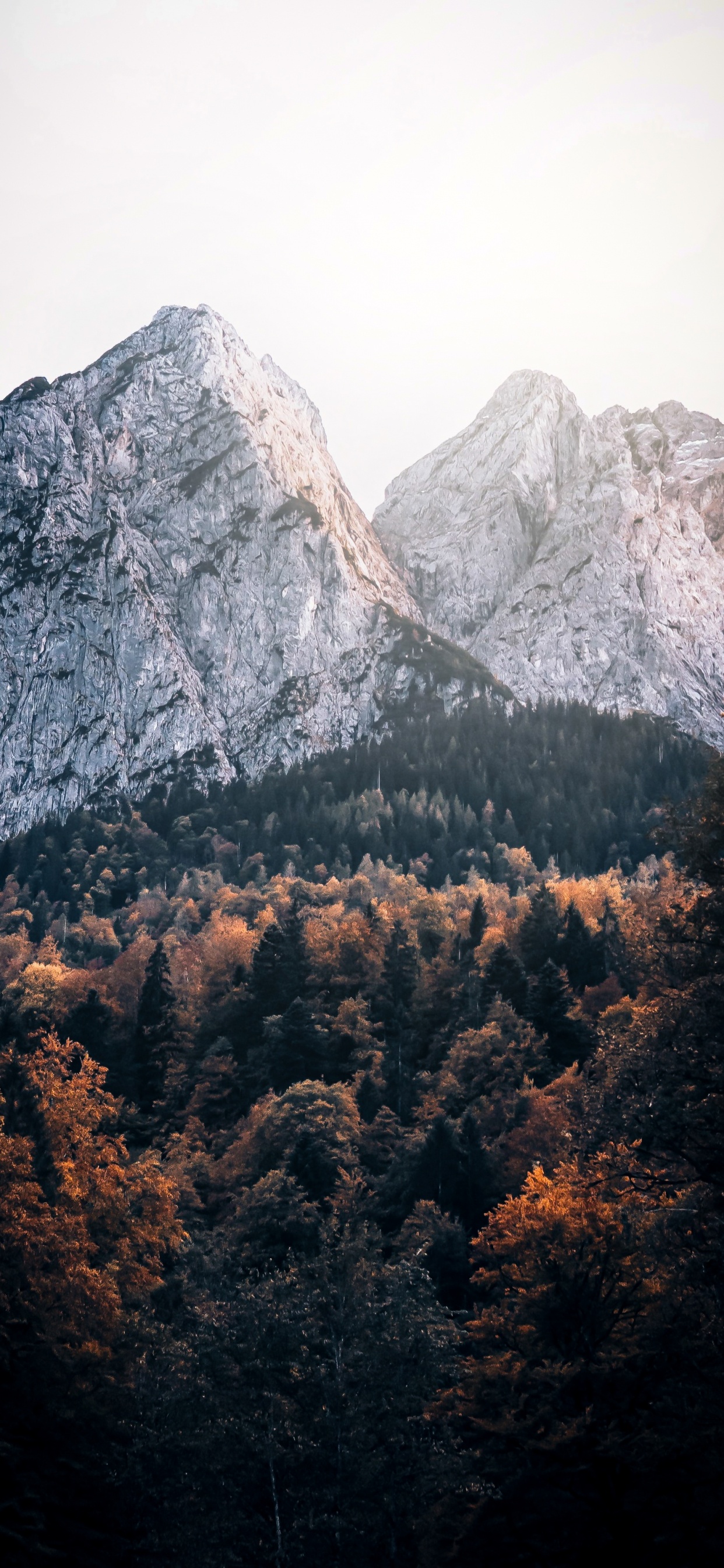 Bavaria, Plant Community, Mountain, Cloud, Natural Landscape. Wallpaper in 1242x2688 Resolution