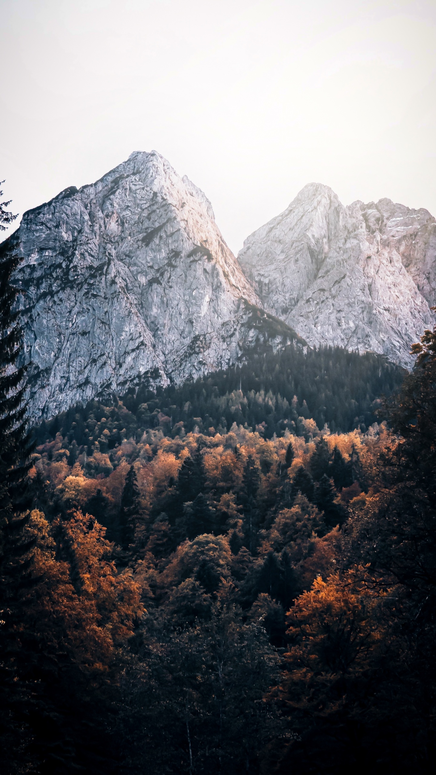 Bavaria, Plant Community, Mountain, Cloud, Natural Landscape. Wallpaper in 1440x2560 Resolution