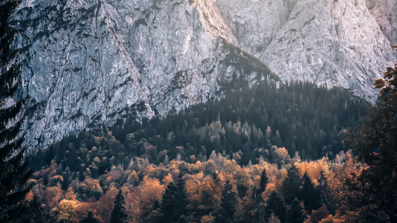 Bayern, Pflanzen-Gemeinschaft, Cloud, Naturlandschaft, Branch. Wallpaper in 1280x720 Resolution