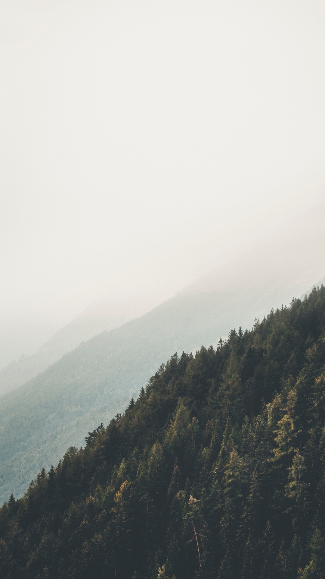 Bergigen Landschaftsformen, Natürlichen Umgebung, Wildnis, Cloud, Baum. Wallpaper in 1080x1920 Resolution