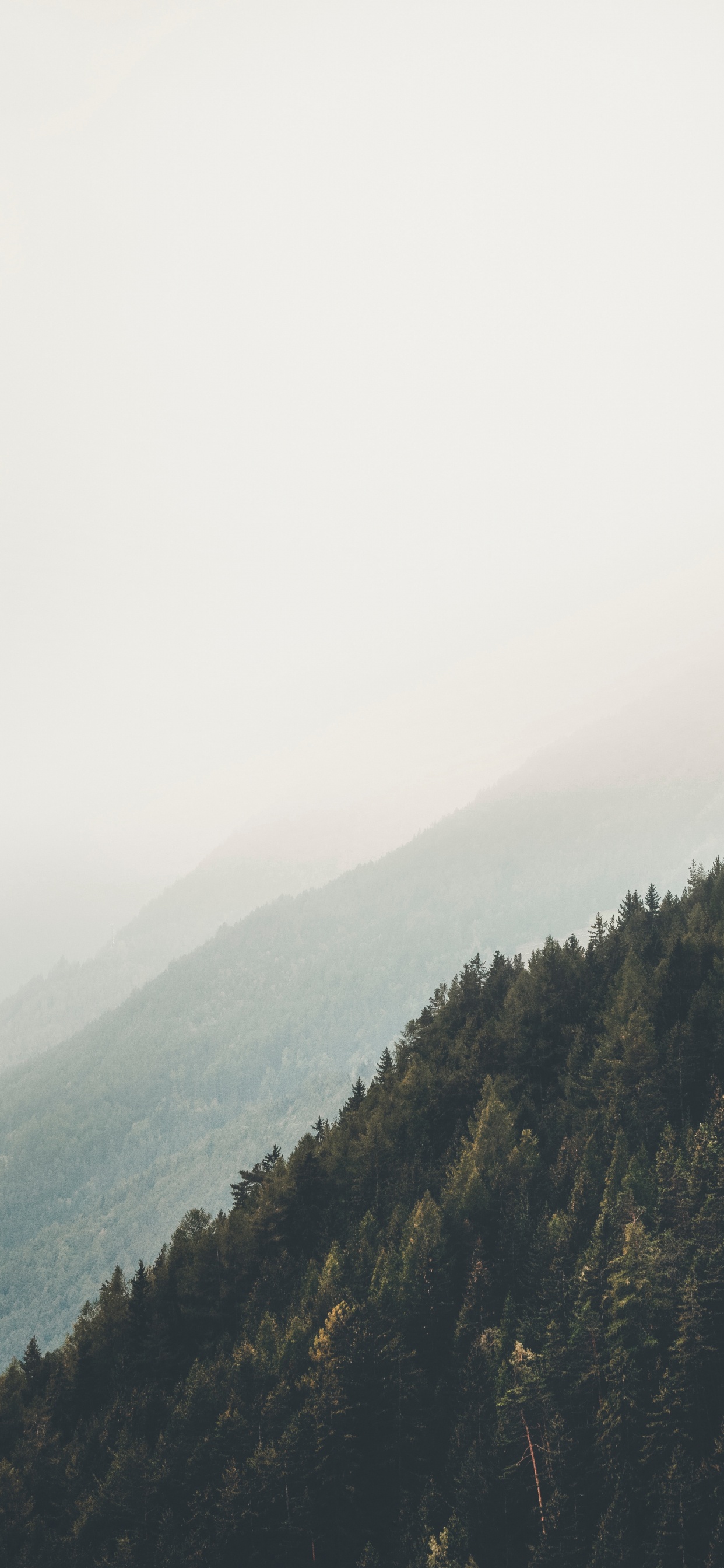 Bergigen Landschaftsformen, Natürlichen Umgebung, Wildnis, Cloud, Baum. Wallpaper in 1242x2688 Resolution