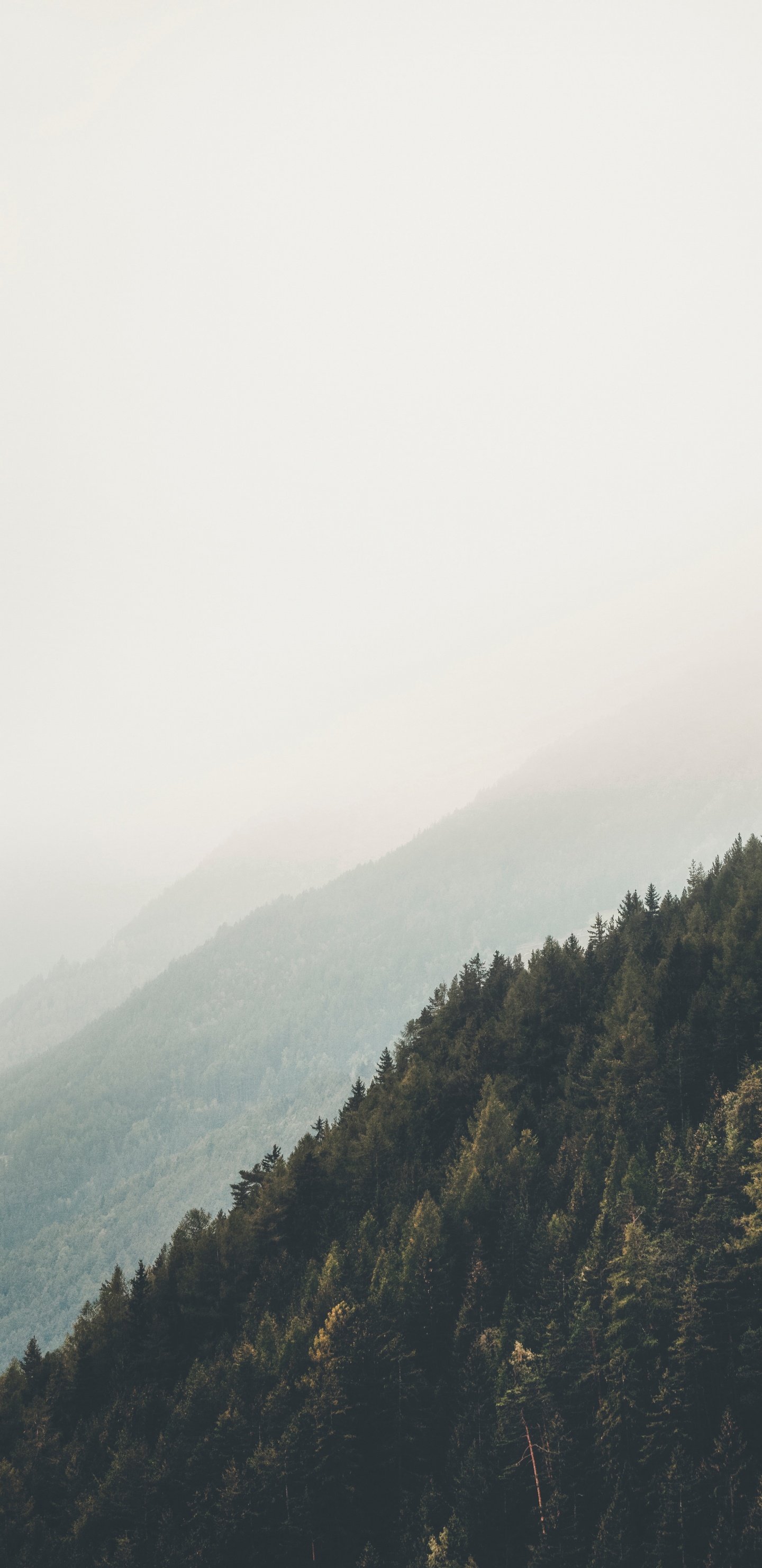 Bergigen Landschaftsformen, Natürlichen Umgebung, Wildnis, Cloud, Baum. Wallpaper in 1440x2960 Resolution