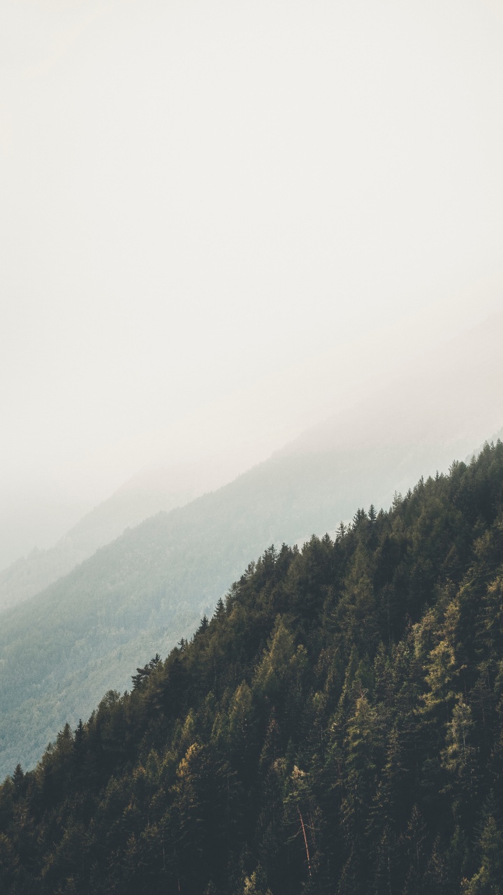 Bergigen Landschaftsformen, Natürlichen Umgebung, Wildnis, Cloud, Baum. Wallpaper in 720x1280 Resolution