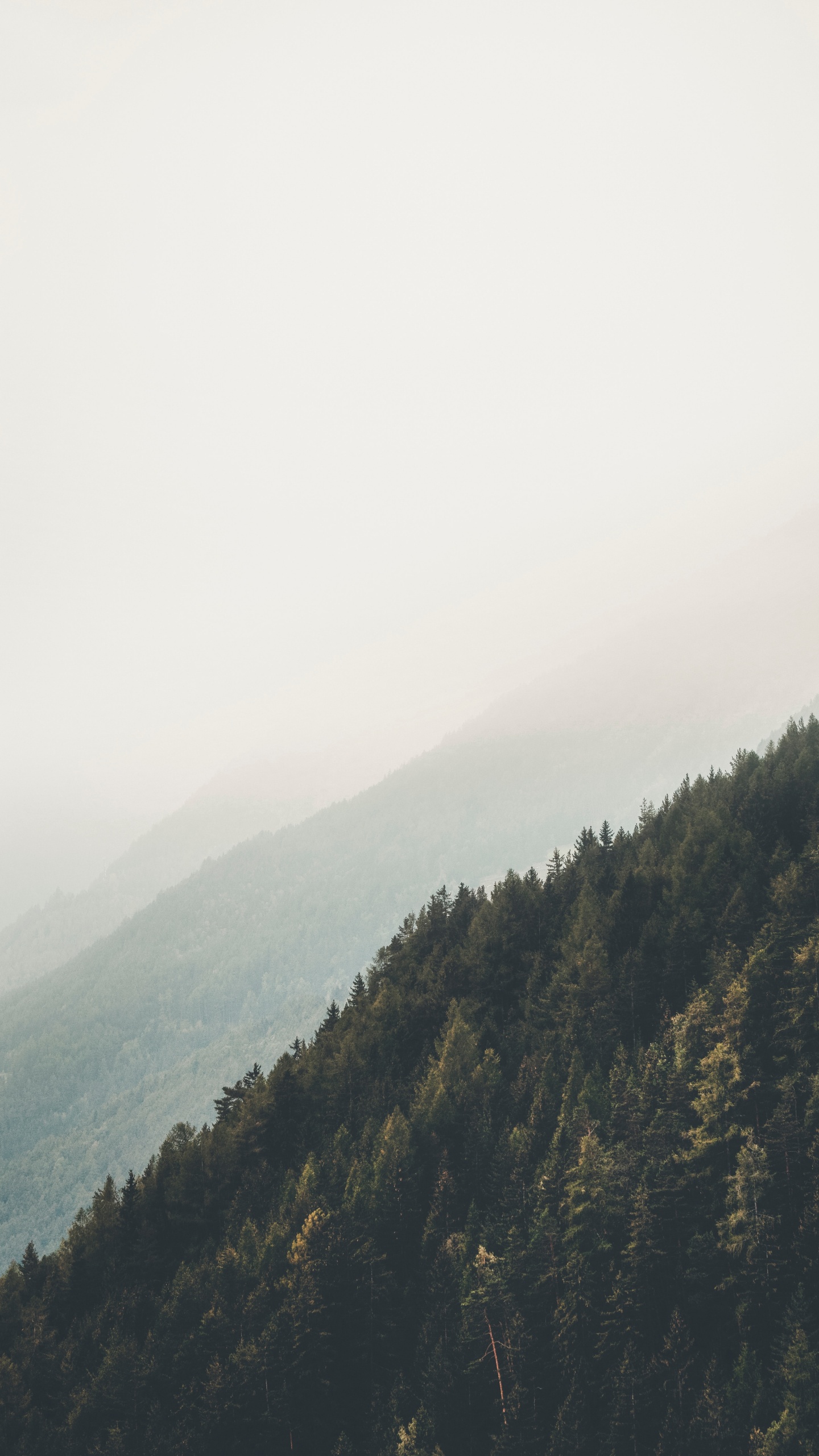 多山的地貌, 自然环境, 荒野, 山脉, 雾 壁纸 1440x2560 允许