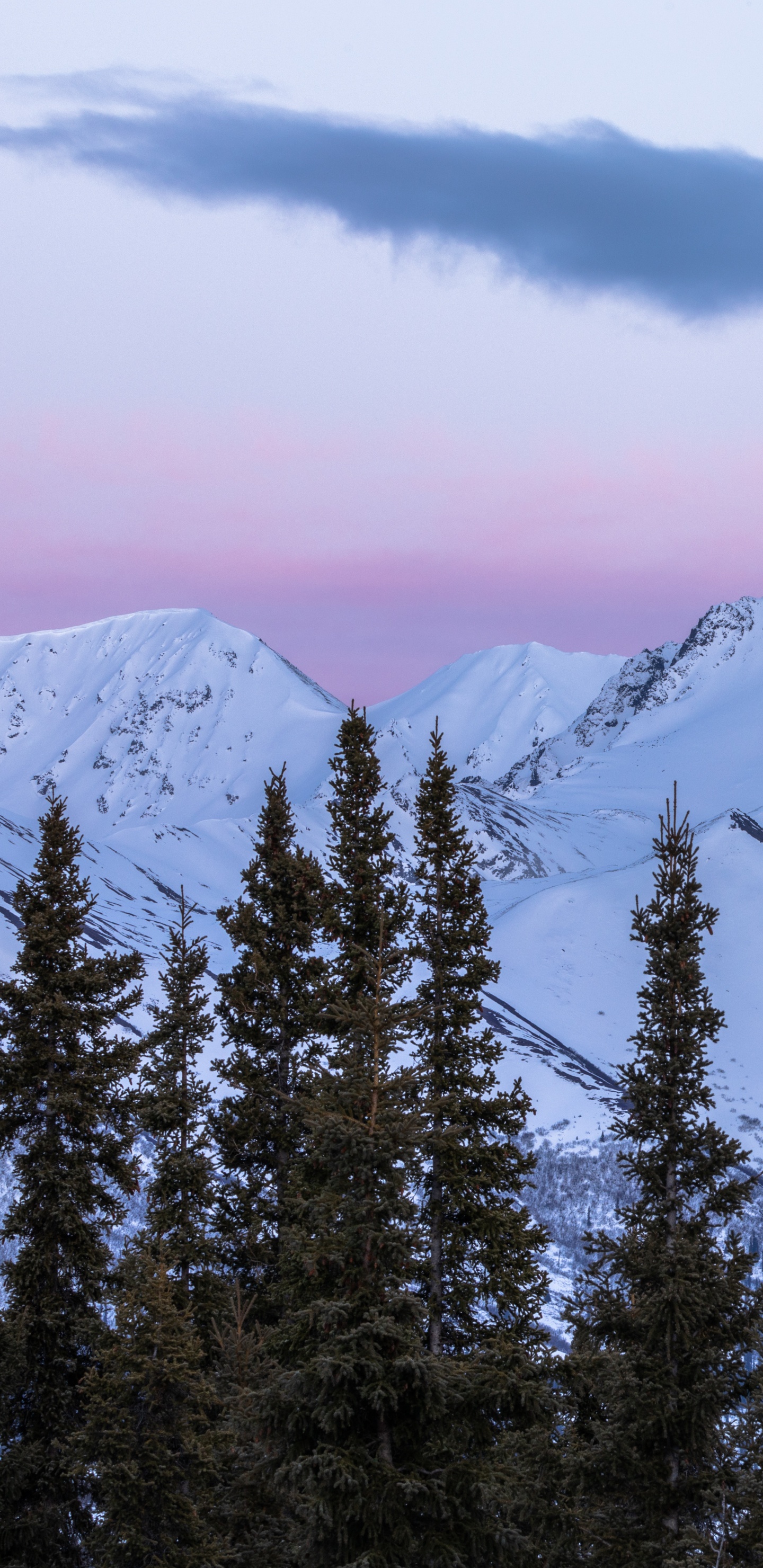 Las Formaciones Montañosas, Macizo, Abeto de Bosques de Abetos, Invierno, Montaje de Escenografía. Wallpaper in 1440x2960 Resolution