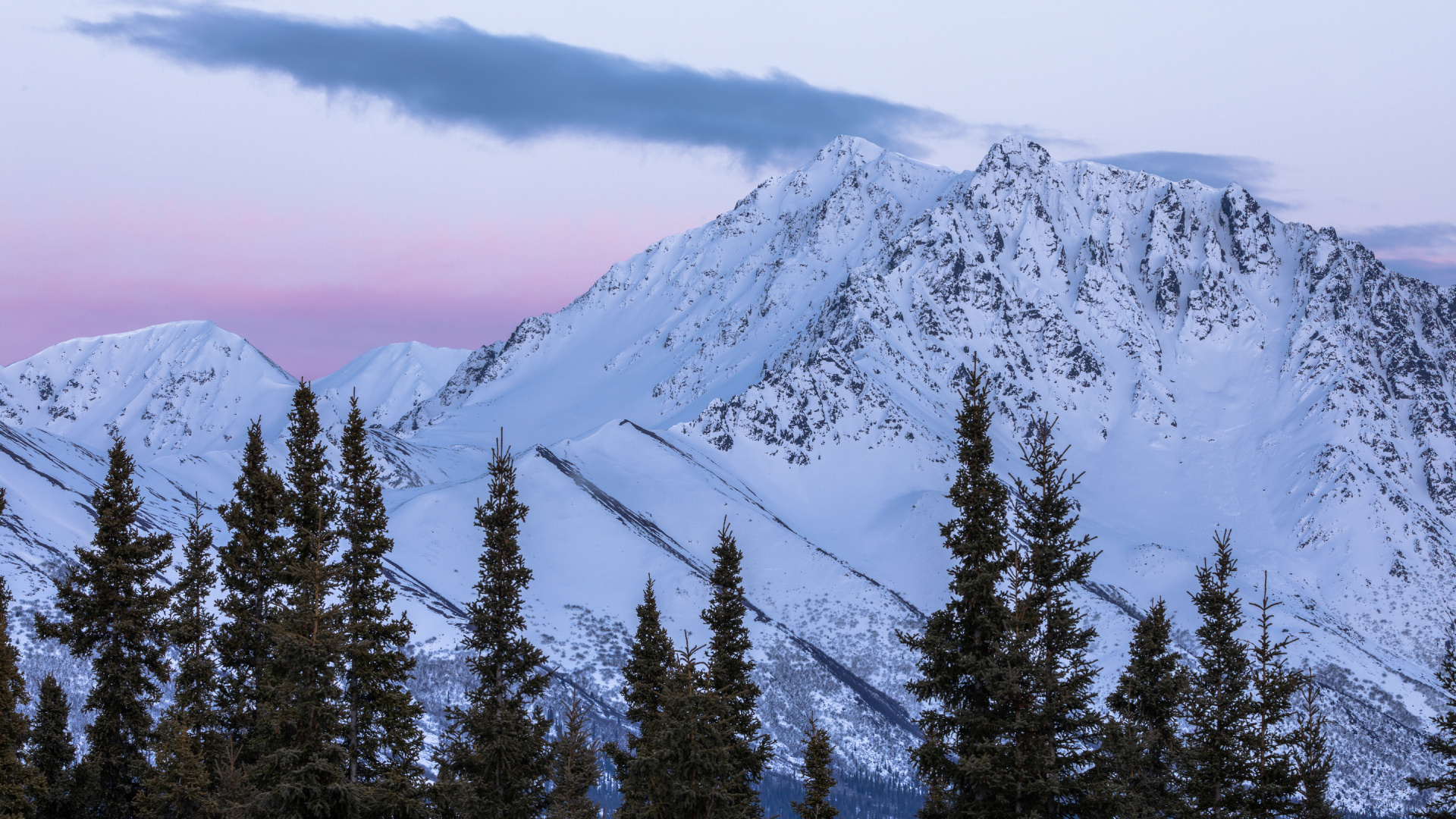 Spruce, Mountainous Landforms, Massif, Spruce Fir Forests, Mountain Range. Wallpaper in 1920x1080 Resolution