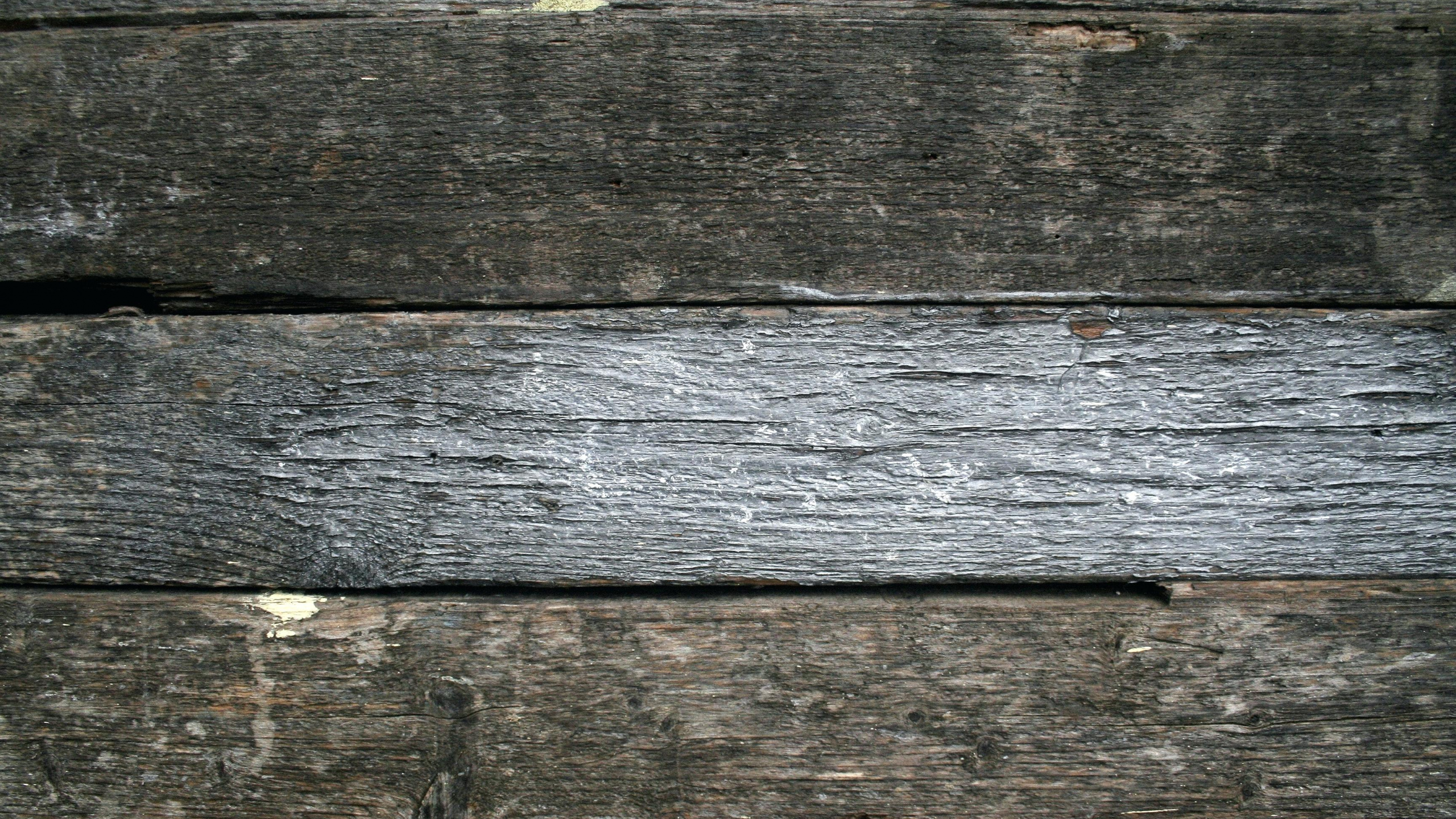 Graue Und Schwarze Holzoberfläche. Wallpaper in 2560x1440 Resolution