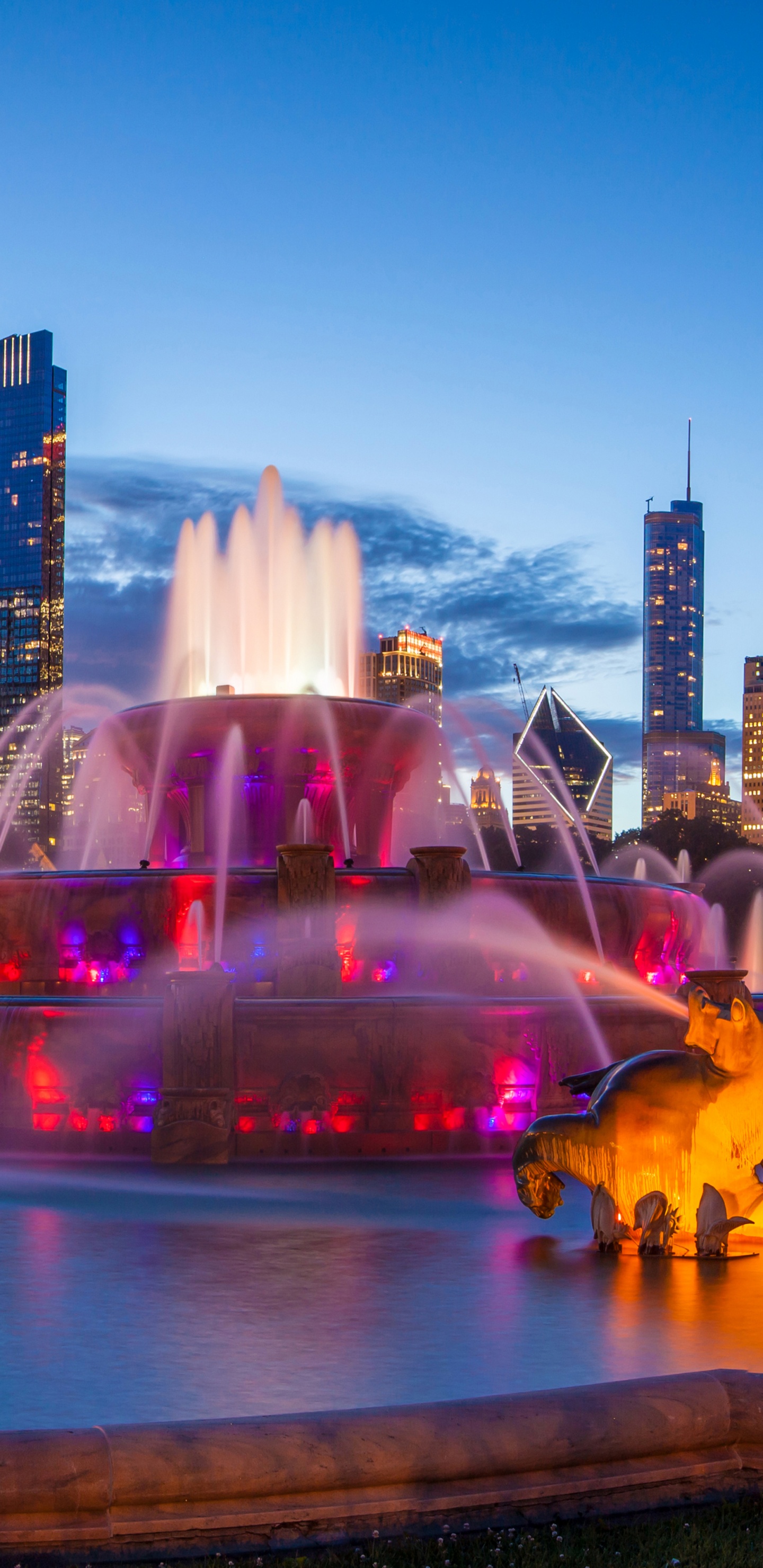Fontaine D'eau Dans la Ville Pendant la Nuit. Wallpaper in 1440x2960 Resolution