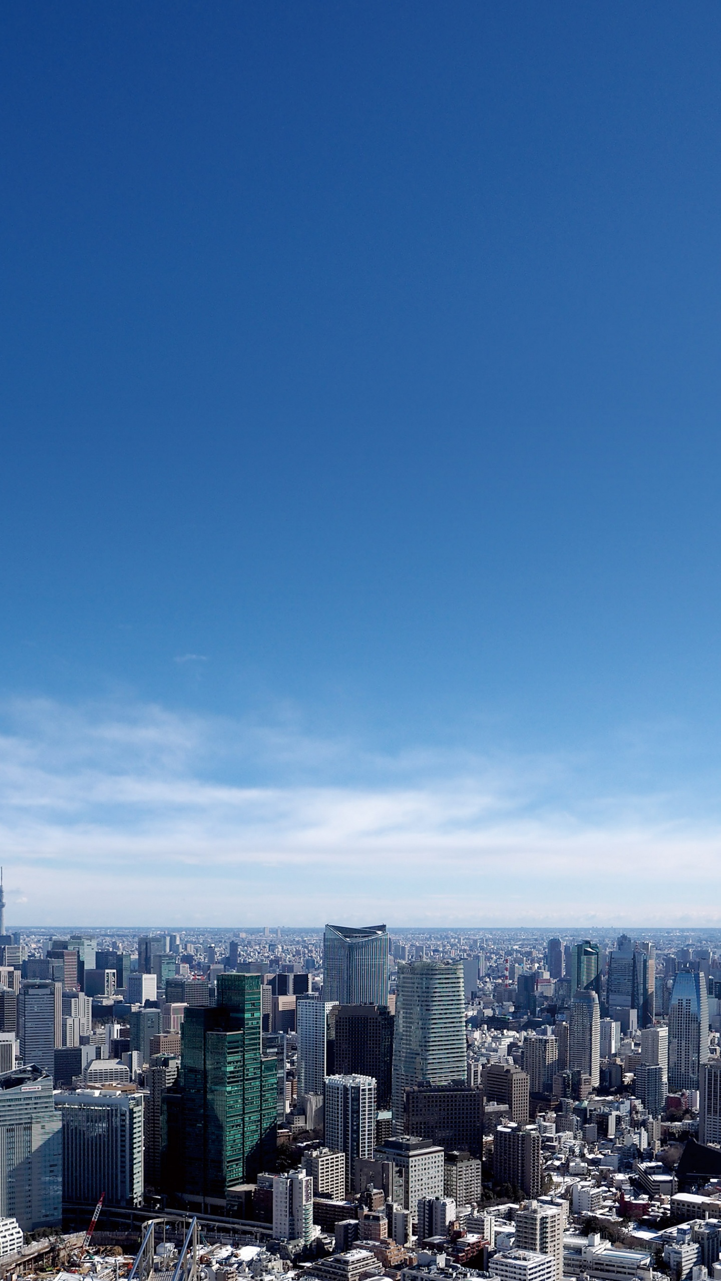 城市景观, 城市, 大都会, 天际线, 一天 壁纸 1440x2560 允许