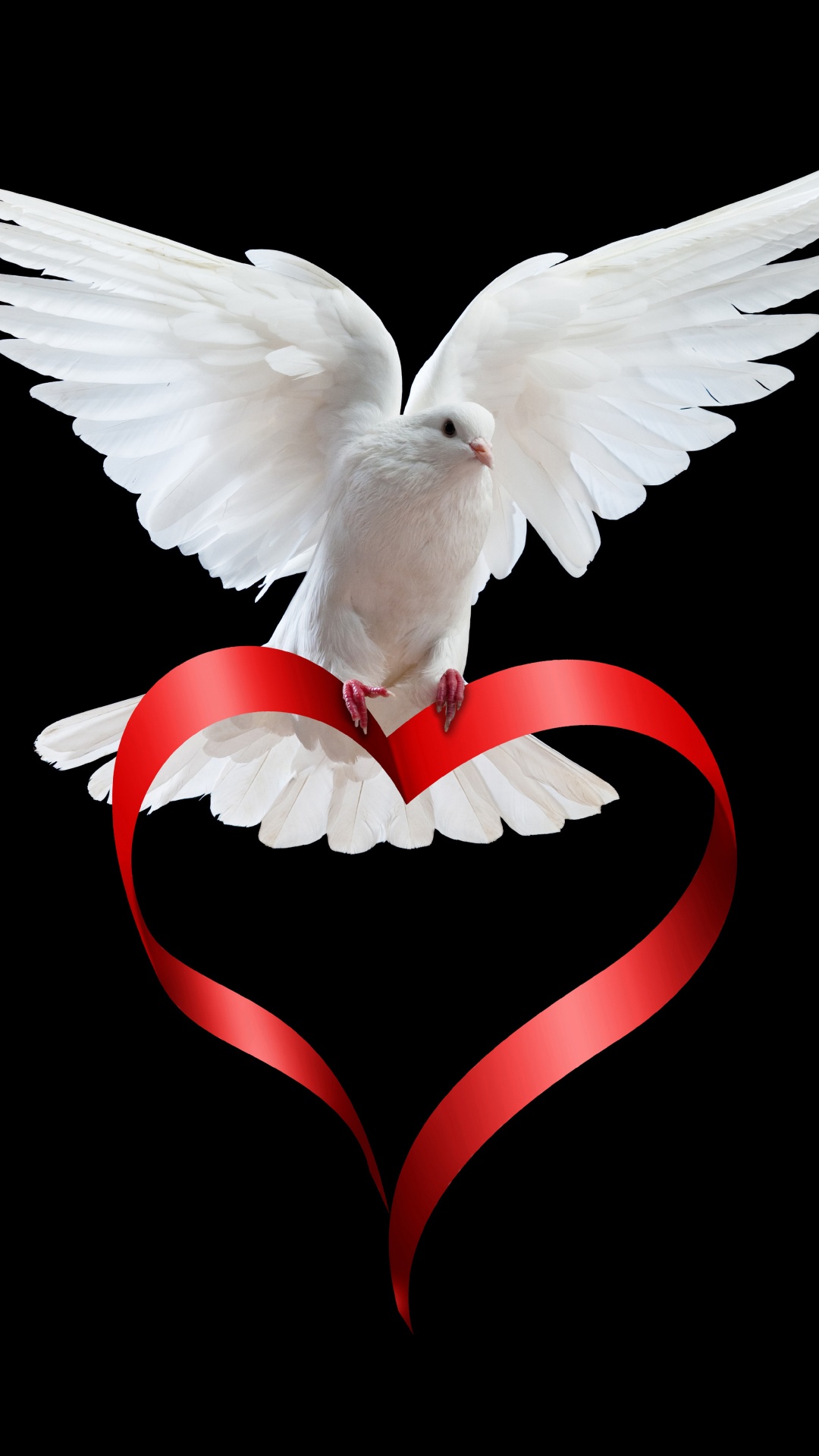 Aile, Red, Amour, Cœur, Oiseau. Wallpaper in 1080x1920 Resolution