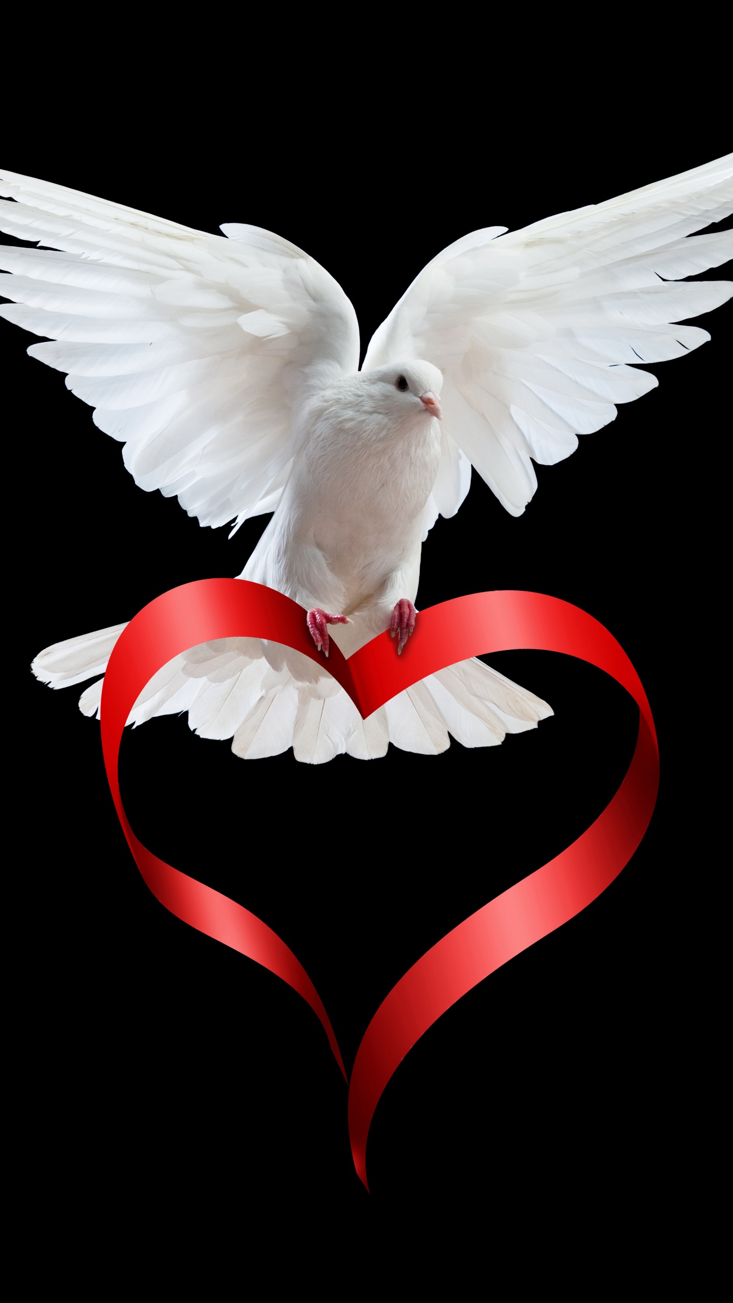 Flügel, Liebe, Herzen, Vogel, Emblem. Wallpaper in 1440x2560 Resolution