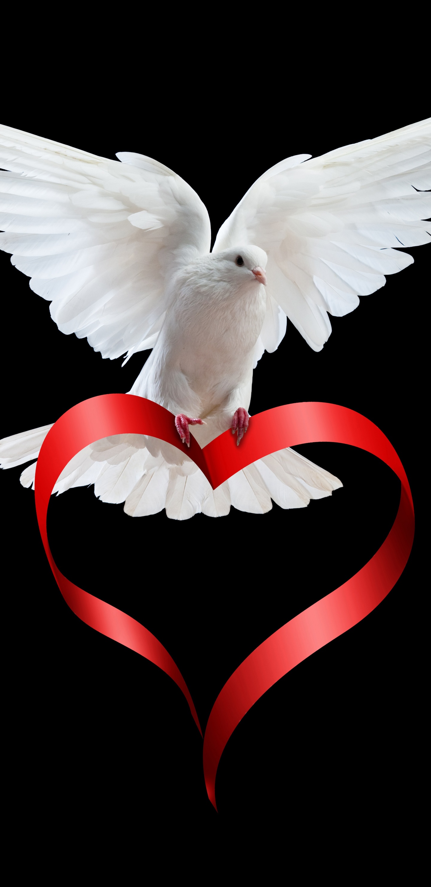 Flügel, Liebe, Herzen, Vogel, Emblem. Wallpaper in 1440x2960 Resolution