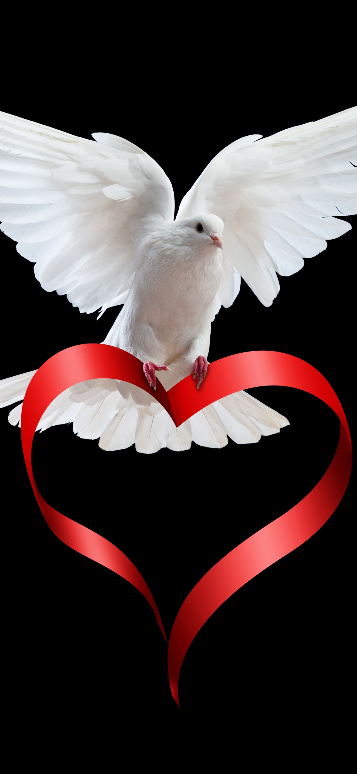 Wing, Red, Love, Heart, Bird. Wallpaper in 1242x2688 Resolution