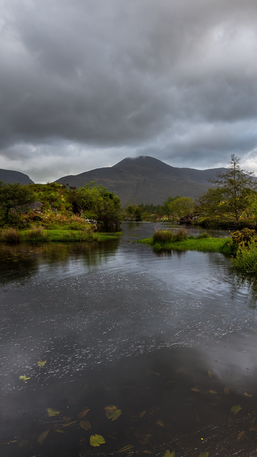 Green Trees Beside River Under Cloudy Sky During Daytime. Wallpaper in 1080x1920 Resolution