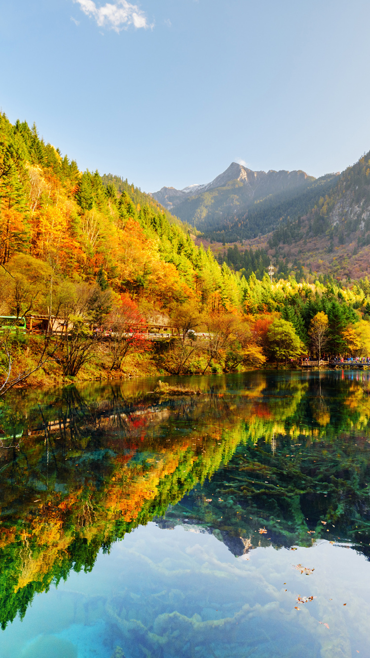 Green and Yellow Trees Beside Lake During Daytime. Wallpaper in 750x1334 Resolution