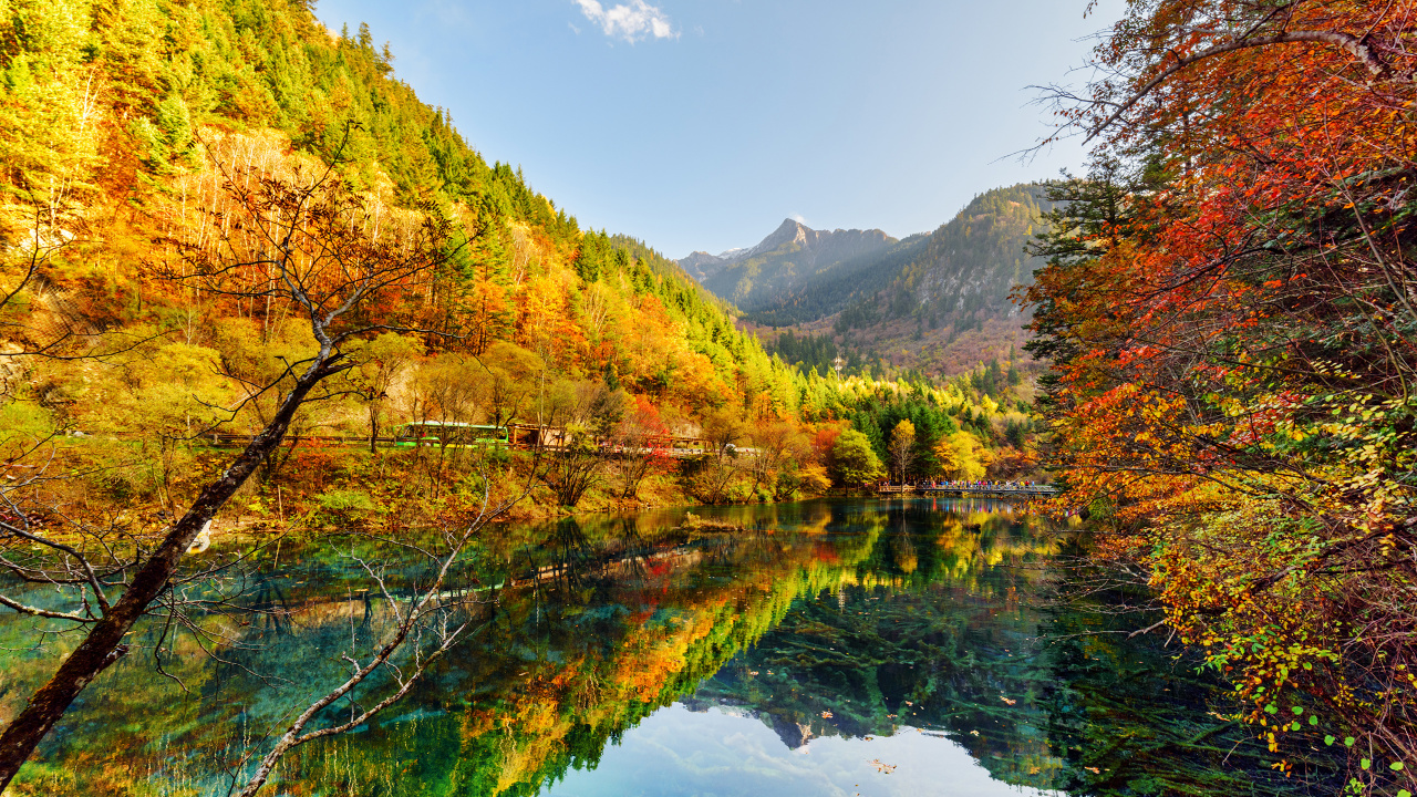 Tagsüber Grüne Und Gelbe Bäume Neben Dem See. Wallpaper in 1280x720 Resolution