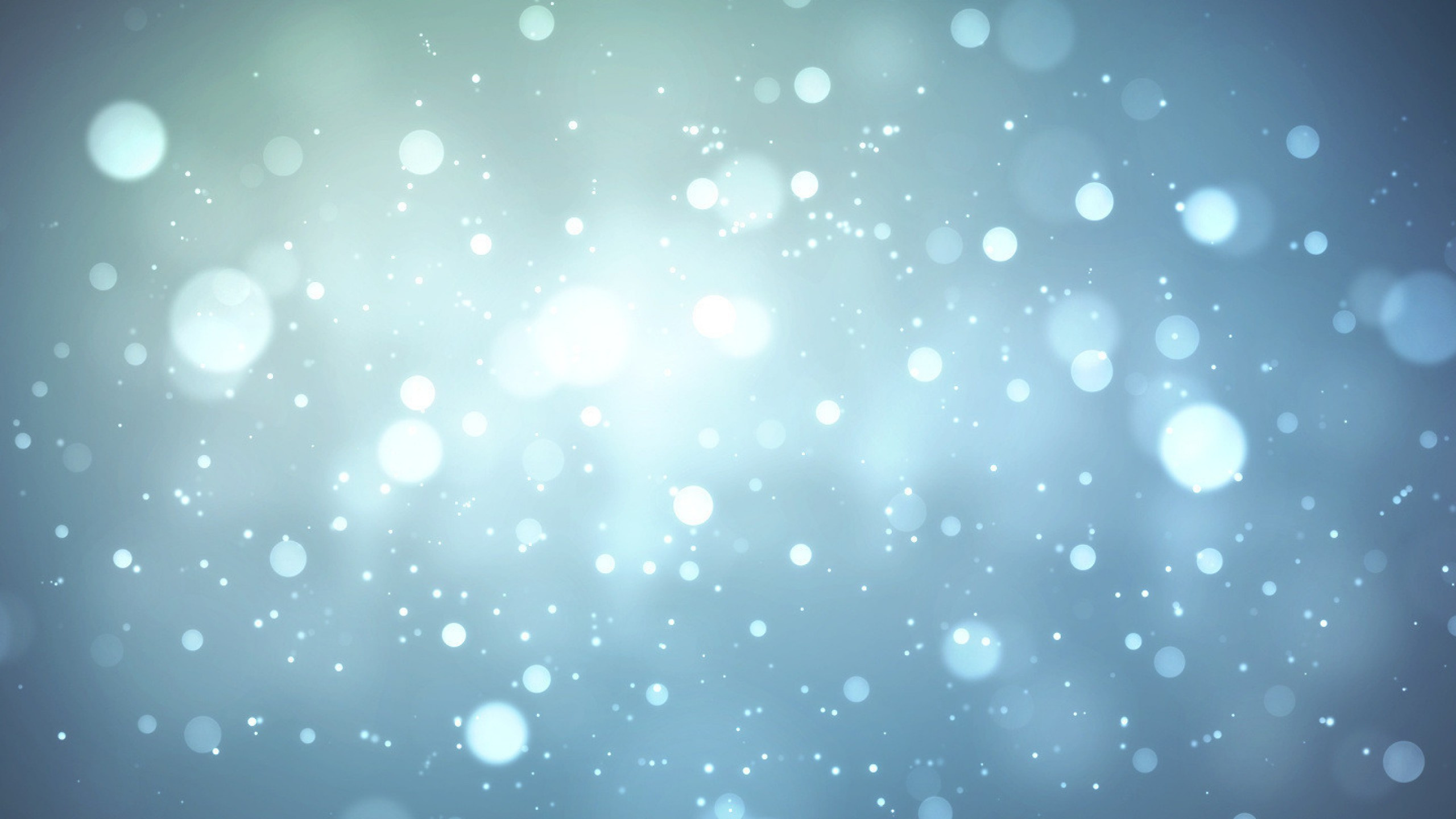 Water Droplets on Glass Panel. Wallpaper in 2560x1440 Resolution