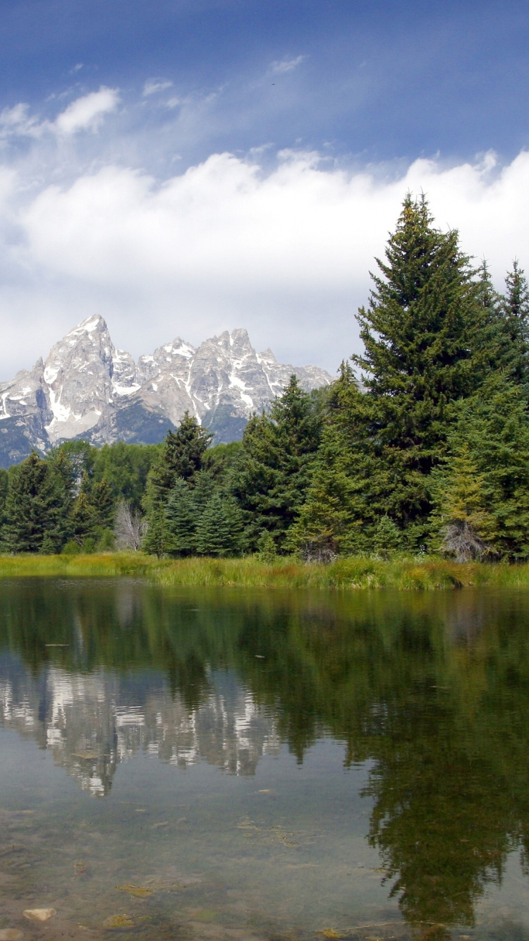 Grüne Bäume in Der Nähe Des Sees Unter Bewölktem Himmel Tagsüber. Wallpaper in 750x1334 Resolution