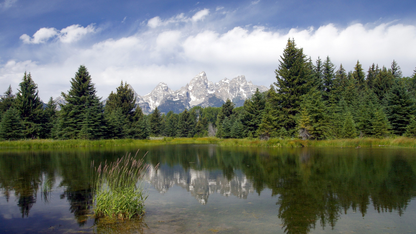 Green Trees Near Lake Under Cloudy Sky During Daytime. Wallpaper in 1366x768 Resolution