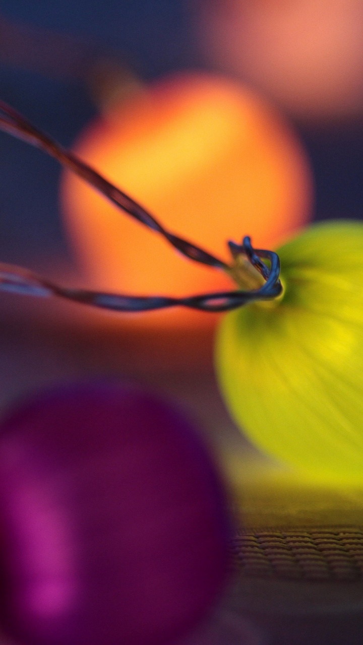 冬南瓜, 南瓜, 产生, 当地的食物, 关闭了 壁纸 720x1280 允许