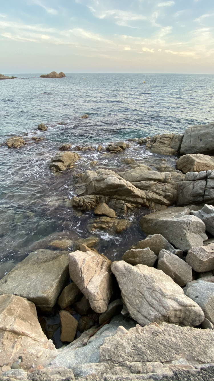 Coast, Body of Water, Nature, Vegetation, Wood. Wallpaper in 750x1334 Resolution