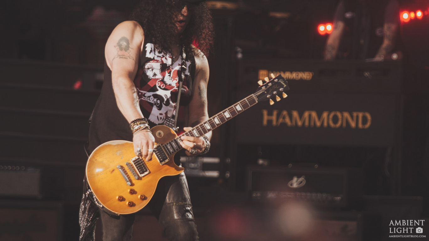 Bassist, Bass Guitar, Rock Concert, Electric Guitar, Guitar. Wallpaper in 1366x768 Resolution