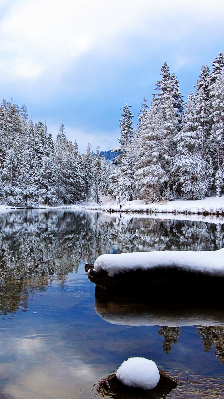 Snow Covered Trees and Lake During Daytime. Wallpaper in 720x1280 Resolution